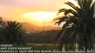 Signum - Any Given Moment (Manuel Le Saux For Fun Remix) HD 720p