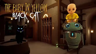 The Baby in yellow  💛  FOLLOWING CAT #youtube