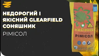 НЕДОРОГИЙ CLEARFIELD СОНЯШНИК ГАРНОЇ ЯКОСТІ🤗. РІМІСОЛ