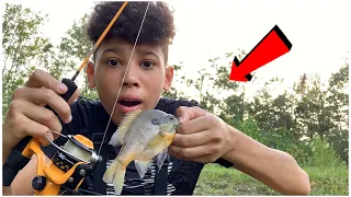 Food chain fishing challenge!!