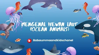 Pelajari Nama dan Suara Hewan Laut | Learn Sea Animals Names Sharks Whales Fish | Sea Animals Names
