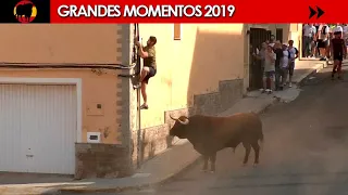 🤩 GRANDES MOMENTOS de 2019 · Tercera parte