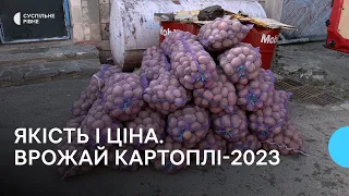 Якість і ціна. Експерт розповів, чого очікувати від картоплі врожаю-2023 в Україні