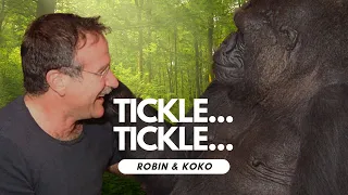 Why ROBIN WILLIAMS and KOKO The Gorilla Are Inseparable