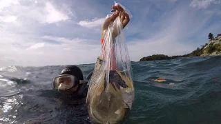 No rubbish, Love ocean