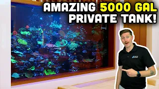 DIVING into a 5000 Gallon Reef Tank Tour! Reef Secrets from RAD!