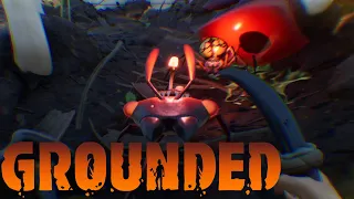 Grounded #233 - Wo war ich stehen geblieben