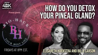 How Do You Detox Your Pineal Gland? With Lis Hoekstra and Billy Carson