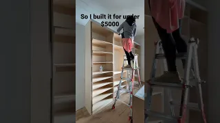 DIY Closet Build with Plywood