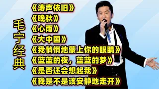 毛宁热门歌曲《涛声依旧》《晚秋》《心雨》《是否还会想起我》等