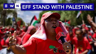 Malema: 'Next year when we take over, we will arm Hamas'