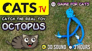 GAME FOR CATS - Real Octopus Toy 🐙 3 HOURS - 60FPS [CATS TV]