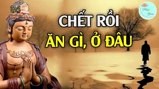 Rất Hay Con Người Sau Khi Lìa Đời Thì Làm Gì Ăn Gì Và Ở Nơi Đâu Có Về Nhà Được Hay Không