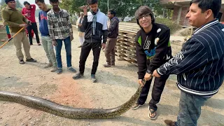 Etna Bada Snake 😲 Phli Baar Dekha