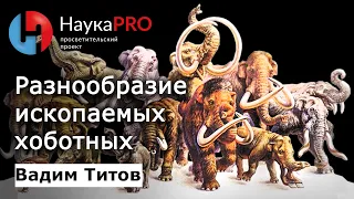 Разнообразие вымерших хоботных | Лекции по палеонтологии – палеонтолог Вадим Титов | Научпоп