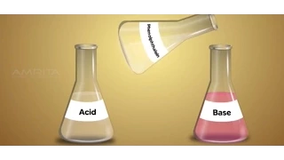 Acids and Bases - Class 10 Tutorial