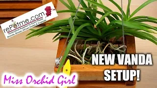Potting Vanda Orchids in wooden baskets with liner - powered by rePotme! ❤️