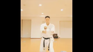 Matsumura Rohai Shito-ryu Raion Shukokai Karate