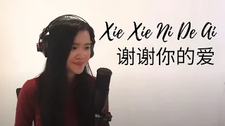 Xie Xie Ni De Ai 谢谢你的爱 - Andy Lau 🥹🌿 ( Sianne Aw Cover) Lyric & Terjemahan