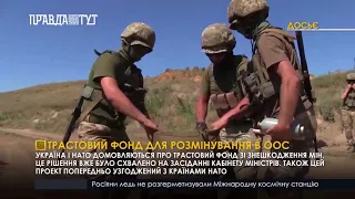 Трастовий фонд для розмінування в ООС