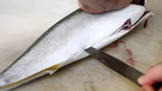 Japanese Street Food - YELLOWTAIL AMBERJACK Sashimi