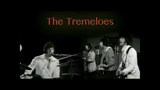 LOVING YOU IS SWEETER THAN EVER TREMELOES DES