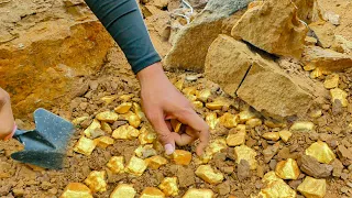 Gold Rush! Find and Dig up for Huge Nuggets of Gold Treasure, worth million dollar, mining exciting.