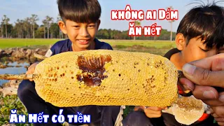 Thách Ai Ăn Hết Tổ Ong Mật Này Nhận 200k | challenge to eat honey