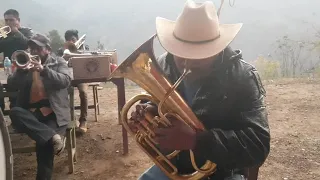 Que nostalgia da  escuchar esas trompetas de esa banda de Coicoyan de las flores oaxaca