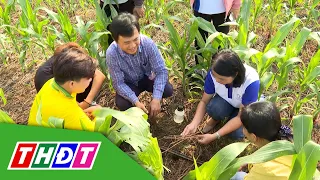 Nghiên cứu sử dụng đất có lợi trong canh tác nông nghiệp | Khoa học Công nghệ | THDT