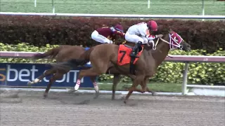 Gulfstream Park Replay Show | February 18, 2016