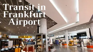 TRANSIT WALK AT FRANKFURT AIRPORT |Terminal 1 Connection Flight Transfer -  Arriving and Departing