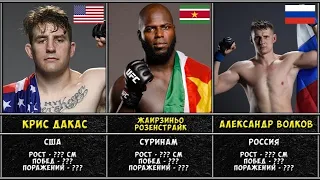 Топ 15 бойцов ufc в тяжелом весе 2022