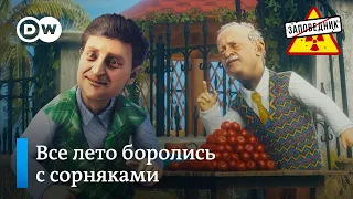 Политические дачники – "Заповедник", выпуск 186, сюжет 2