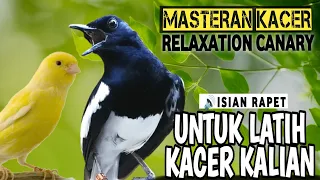 🔴GILA ⁉️ - MASTERAN KACER GACOR FULL ISIAN CANARY!! - Suara Burung Kacer yang cocok untuk Latihan ‼️