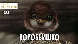 Воробьишко (1984 год) мультфильм