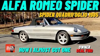 I ALMOST GOT ALFA ROMEO SPIDER QUADRIFOGLIO