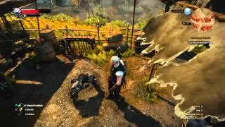 The Witcher 3: Wild Hunt_20160131031409