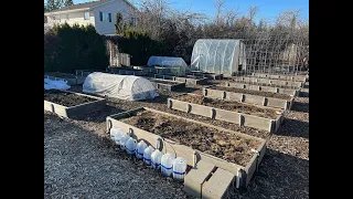 Our Vegetable Garden (Everyone Can Grow a Garden 2023: #11)