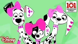 🤩The Woof Factor | 101 Dalmatian Street | Disney Channel Africa