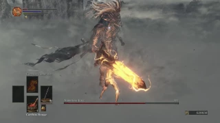 SL1 NG+7 No rolling/blocking/parrying Nameless King