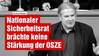 OSZE soll gestärkt werden - Nationaler Sicherheitsrat würde keine Lösungen bieten