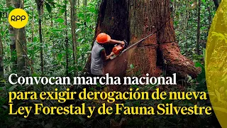 Convocan marcha nacional para exigir derogación de nueva Ley Forestal y de Fauna Silvestre