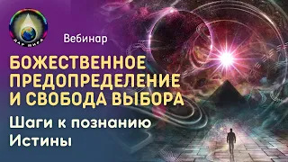 Божественное предопределение и Свобода Выбора. Шаги к познанию Истины. Вебинар 28-01-2023