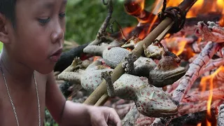 Primitive Technology - Catch n Cook gecko