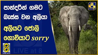 පාන්දරින් ගමට බැස්ස වන අලියා - අලියට ජොලි ගොවියාට sorry