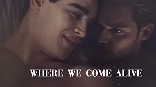 ✘Non Canon Couples | Where We Come Alive