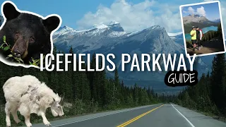 Exploring Icefields Parkway: A Scenic Guide to Canada's Natural Beauty | Alberta, Canada