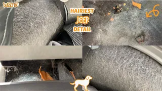 Deep Cleaning A HAIRY Jeep Cherokee | Complete DISASTER Detail | Satisfying Transformation