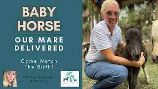 Miniature Horse Mare Gives Birth to Filly: Birthing Process